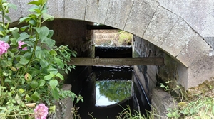 moulin à la vente -   70300  BAUDONCOURT, surface 200 m2 vente moulin - UBI480421085